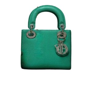 DIOR VERT TUNDRA LIZARD MINI LADY GREEN 18CM